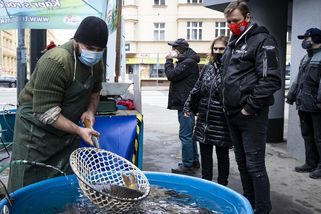 Komerční banka vytáhla před Vánoci proti kaprům kvůli CO2 - Novinky