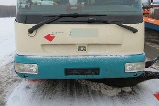 Americký klusák s poníkem nepřežili srážku s auty u Vrchlabí - Novinky