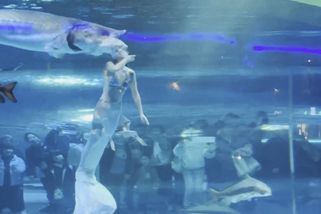 Obří ryba se pokusila Rusce v Číně sežrat hlavu - Novinky