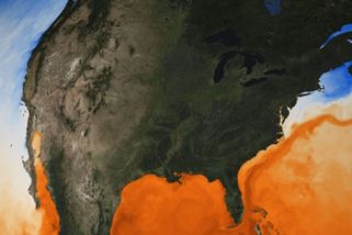 Vědci našli varovný signál v Golfském proudu. Může signalizovat kolaps oceánských proudů a suchou...