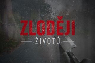 Tyran zběsile bodal do dcery a exmanželky, syn ho přitom mlátil hokejkou. Tragédie, která změnila zákon - Novinky