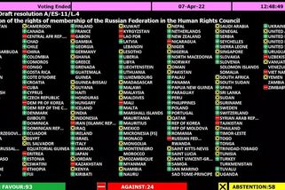 Rusko bylo vyloučeno z Rady OSN pro lidská práva - Novinky
