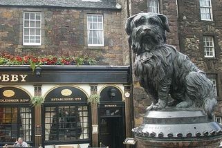 Greyfriars Bobby: nejvěrnější pes Skotska strávil u hrobu svého pána 14 let a stal se miláčkem města - Médium.cz