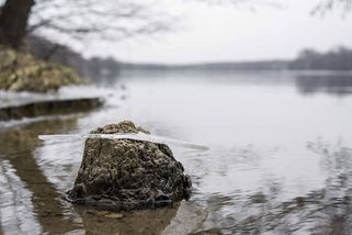 Horor na zamrzlém rybníku: Pod matkou a sedmiletým chlapcem se prolomil led. Nebylo jim pomoci – eXtra.cz