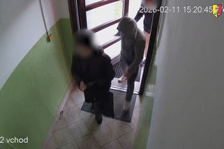 Zákeřné napadení seniorky v Praze i divoké zadržení podezřelých natočila kamera - Novinky