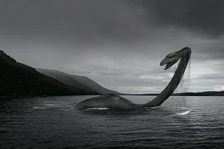 Kvíz: Poznáte tajemné neexistující tvory od skutečných?