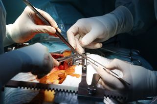 Protestující lékaři odmítli návrh ministerstva, odkládání operací se blíží - Seznam Zprávy