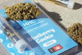 Vláda zařadila konopný HHC na seznam zakázaných látek, držení bude trestné - Seznam Zprávy