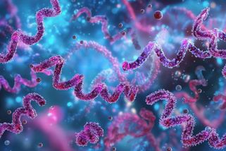 Syfilis dávno před objevením Ameriky? Vědci zkoumají nejstarší známý genom bakterie