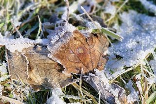 Dorazí tuhé mrazy, varovali meteorologové - Novinky
