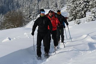 Skialpinisté ničí sjezdovky a ohrožují bezpečnost lyžařů. Vlekařům se do zákazů nechce - Novinky