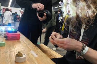 Balení jointů v Brně: sprinteři za půl minuty, nováčky brzdí třepání prstů