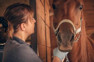 jezdci.cz/clanky/mvdr-bezdekova-astma-neni-vylecitelne-cilem-je-zmirnit-jeho-projevy