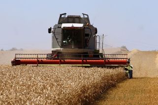 Ukrajina dodala do Maďarska obilí kontaminované toxiny - Novinky