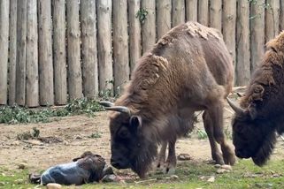 Žáci a studenti si v Česku prodlouží víkend. Kam mohou zajít zadarmo?