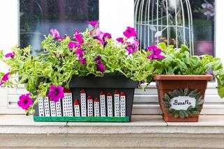 Plastový truhlík a květináč? Udělejte z něj originál! - Proženy.cz