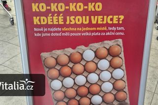 Lidé nemohou v obchodech najít vejce. Řetězce je navigují info cedulkami