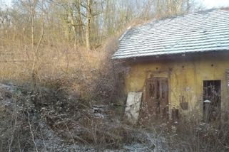 krajskelisty.cz/stredocesky-kraj/okres-kolin/29812-proc-mam-platit-tu-hororove-drahou-elektrinu-z-radimi-do-spanelskeho-mestecka-torrevieja-seniorka-jede-na-jih.htm