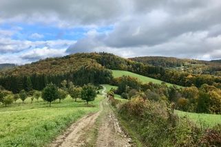 Zákaz vstupu veřejnosti do českých lesů. Proti novele zákona se bouří ochranáři i ombudsman