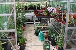 Lidé ve velkém přechází na hybridní skleníky. Mají výrazně lepší vlastnosti než sklo nebo polykarbonát