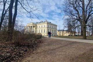 Koberce z bledulí u zámku Františka Kinského letos lákají více návštěvníků - Novinky