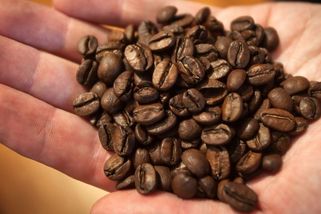 KVÍZ: Zbožňujete kávu? Jak moc se v ní vyznáte? - Novinky