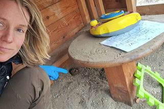 Záchrana zaječích mláďat v Praze 10 uzavřela dětské hřiště - Novinky