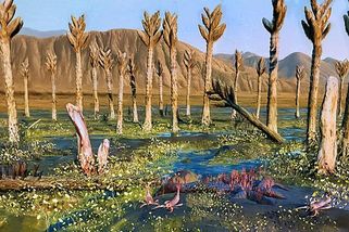 Poznatsvět | Záhadný tvor Prototaxites byl samostatnou větví života, tvrdí vědci. Nebyla to houba, strom ani živočich