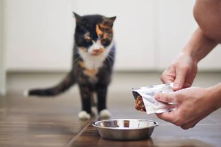 Nejhorší kapsičky pro kočky: Pozor na toto složení, najdete ho u 3 známých značek