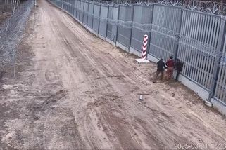 Až 300 pokusů o nelegální přechod. Extrémní noc na polsko-běloruské hranici - Novinky