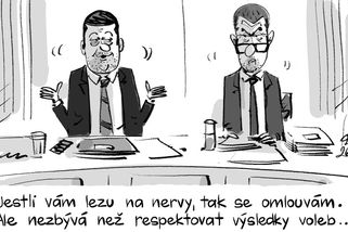 KEMEL: Respektujte výsledky voleb - Novinky