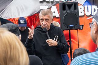 Muže, který udeřil Babiše holí, zadrželi. Na mítinku byla zraněna i jedna účastnice - Novinky