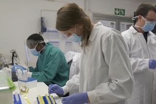 První data. Co už víme o nové variantě koronaviru, která straší svět - Seznam Zprávy