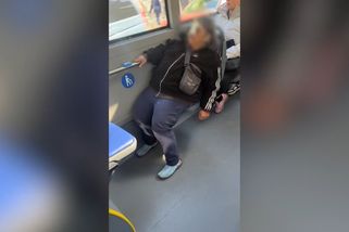 Čuňata a burani v české MHD. Záběry, ze kterých jde hlava kolem | Emhádéčko