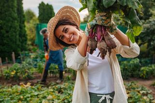 Chcete mít zahradu v nejlepší formě? Jednoduchý celoroční plán měsíc po měsíci