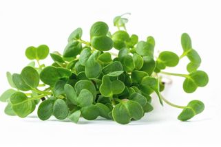 Řeřicha – královna mezi superpotravinami