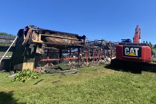 Zničit vosy ohněm, napadlo údržbáře. Pak už to šlo rychle, říkají hasiči - Seznam Zprávy