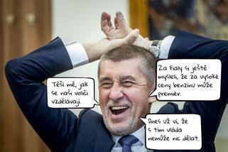 Babišovi voliči se vzdělávají - Médium.cz