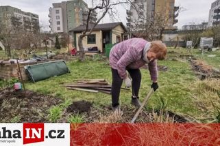 prahain.cz/zivot-ve-meste/strasny-konec-po-osmdesati-letech-zahradkarum-ve-vysocanech-za-par-hodin-zdemoluji-kolonii-12008.html