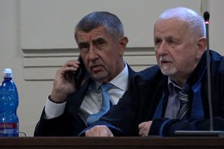 Mega lež, řekl soudu Babiš o tvrzení, že mu patřilo Čapí hnízdo - Novinky