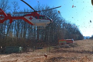 Muže při práci v lese na Vsetínsku zranil padající strom, na místo letěl vrtulník - Novinky