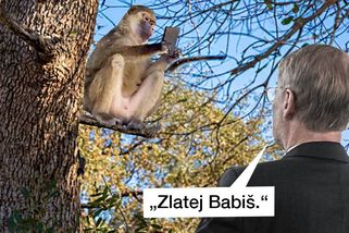 TMBK: Fiala se hlásí z Afriky. Potkala ho drobná komplikace - Seznam Zprávy