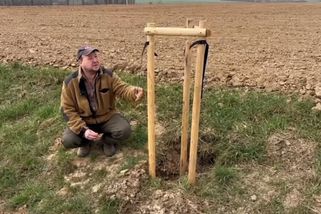 Zloději ukradli na Domažlicku ovocné stromy z aleje a pokáceli topoly - Novinky