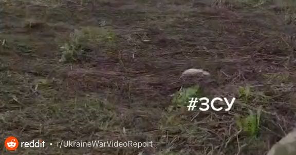 Ukrainian Army moves the RM-70 "Vampire" (received from the Czech Republic), a heavier and more effective version of the Grad missile launcher.