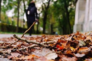 „Listí je z vaší zahrady, vezměte hrábě a ukliďte ho,“ žádal jsem souseda - Médium.cz
