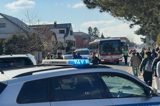 Chlapce v Nebušících srazilo auto, letěl pro něj vrtulník - Novinky