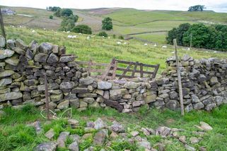 Poznatsvět | Při vykopávkách ve Španělsku narazili archeologové na kamenný falus. Sloužil jako brousek