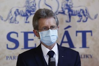 Část mzdy lidí na home office by mohla jít potřebnějším, navrhl Vystrčil. Pak svá slova upřesňoval - Novinky