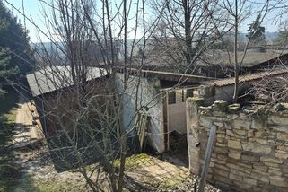 Psí útulek Bouchalka bude po podezření z týrání víc pod kontrolou - Novinky