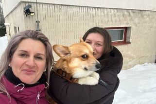 Pes Tommi bloudil devět dní v mrazu a sněhu v lesích kolem Lipna. Všichni hledali podivnou lišku - Novinky